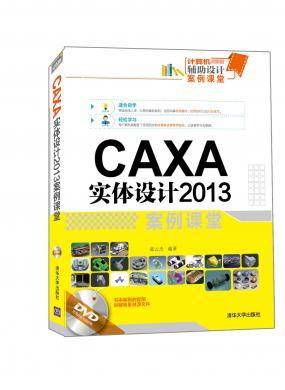 CAXA(sh)wO(sh)Ӌ(j)2013n